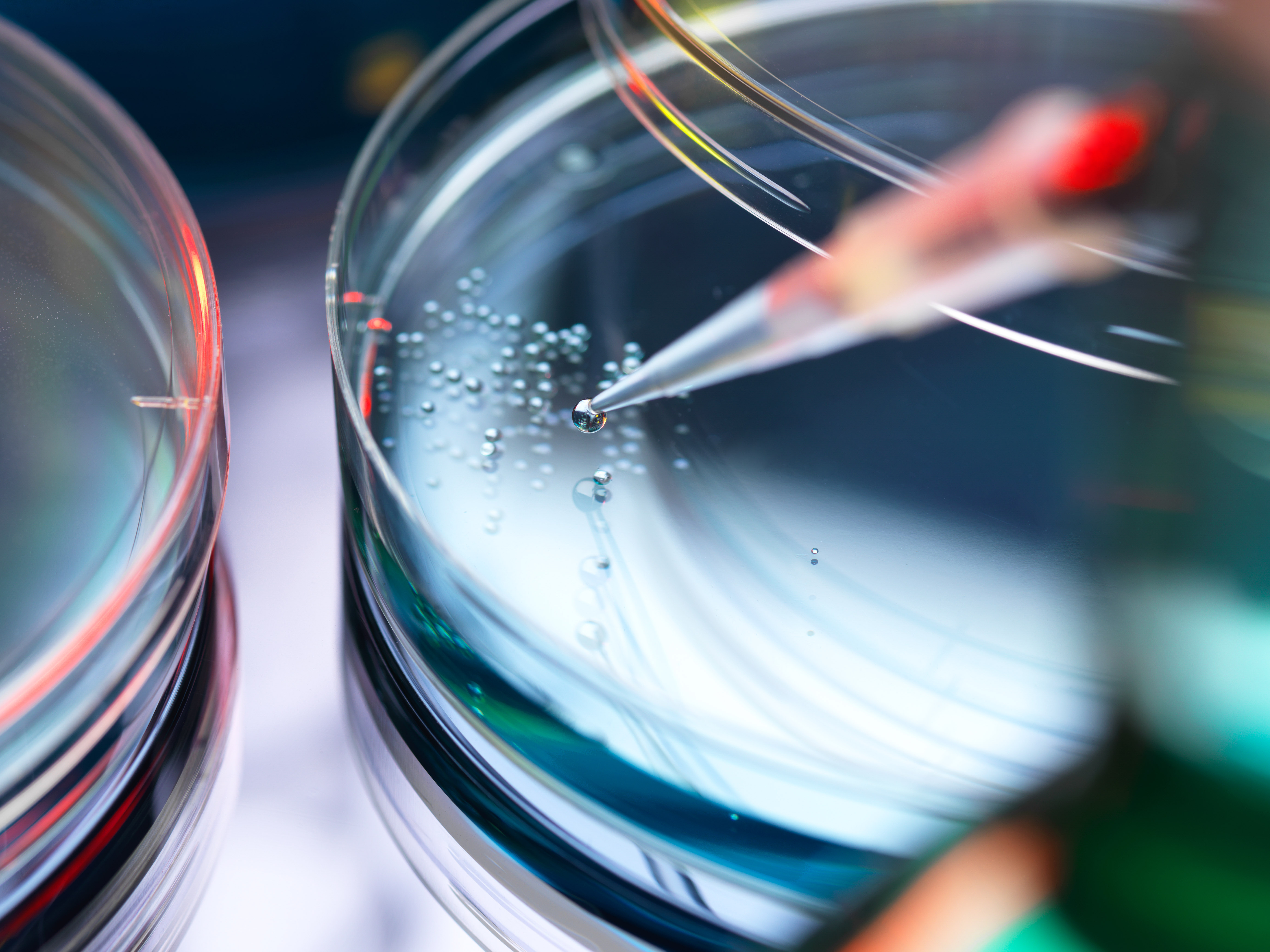 life sciences