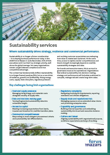 Forvis Mazars sustainabily services