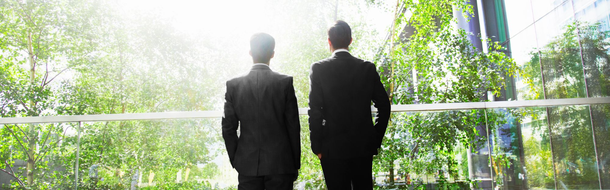 Chief Risk Officer Cro Challenges In Risk Management Forvis Mazars