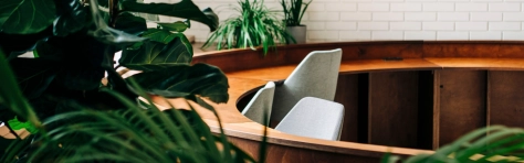Image of a work desk surrounded by green plants