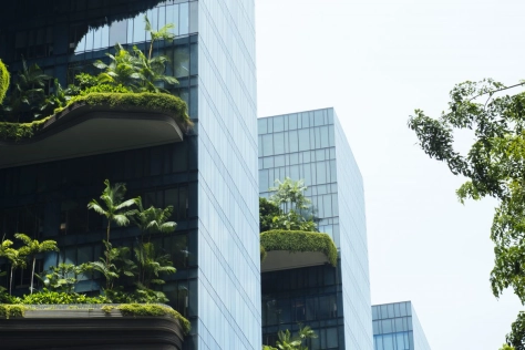 Singapore BEPS 2.0 Pillar Two