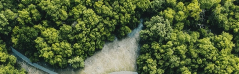 Forvis Mazars in UAE joins the Clean Energy Business Council MENA (CEBC)