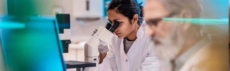 Scientist Working in The Lab