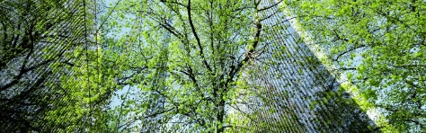 UK, London, digital composite of trees and city skyscrapers in the financial district Sustainable Resources, Finance, Climate Change, Environmental Conservation, London - England, Banking, Business, City, Global Business, Abstract, Architecture, Beauty In Nature, Building Exterior, Business Finance and Industry, Capital Cities, Central London, City Life, Cityscape, Climate Action, Colour Image, Composite Image, Concepts, Corporate Business, Creativity, Day, Development, Digital Composite