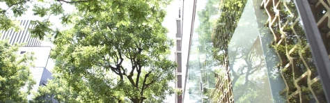 ESG Strategy & Transformation – das Geschäft auf die nächste Stufe heben