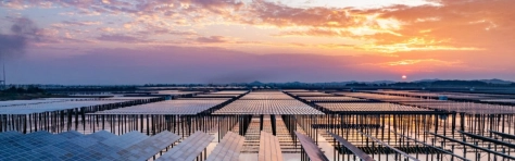 pannelli fotovoltaici al tramonto