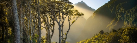 Alla bolag ska byta ägare