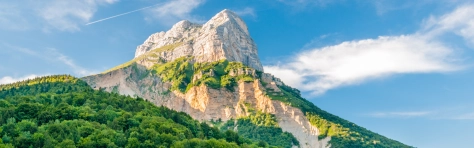header - CP - chartreuse