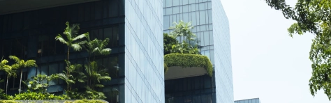 Sustainable city skyscraper building complex, with lush garden balconies, example of eco-urban architecture. Sustainable Resources, Sustainable Lifestyle, Green Building, Singapore, City, Singapore City, Futuristic, Environmental Conservation, Green Colour, Building Exterior, Architecture, Vertical Garden, Climate Change, Modern, Office Block Exterior, City Life, C-suite