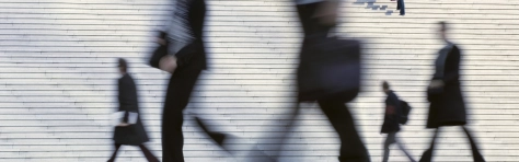 Vilket försäkringsskydd har ditt företag?