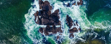 Sustainability Landing Page