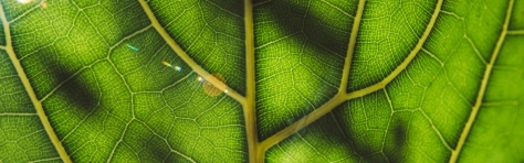 Sustainability reporting without the CSRD: getting started with the VS Standard