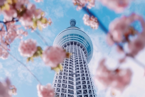 Tokyo tower