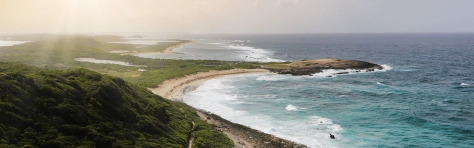 Header - Forvis Mazars en Outre-Mer