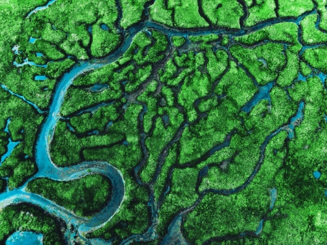 Small river flows through islands of grass and greenery