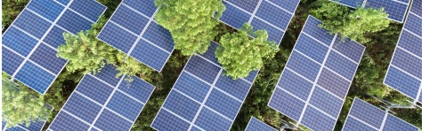 An image of solar panels