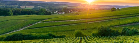 header - campagne régions - Champagne Ardenne
