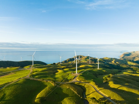 wind turbines near the sea on the green hills