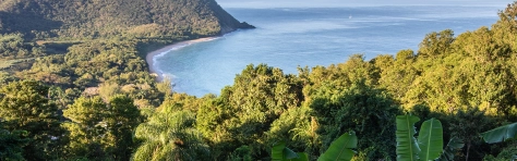 header - Agroalimentaire en Guadeloupe