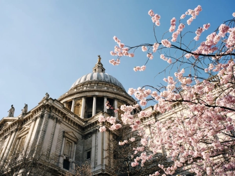 Tax newsletter april