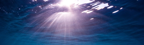 Webinar: Deep Dive Due Diligence – versteckte M&A-Risiken sichtbar machen