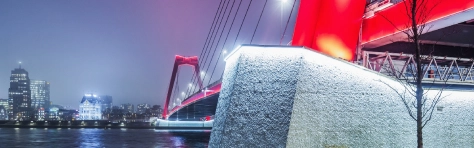 The Willemsbrug is a bridge - Rotterdam Bridge - Built Structure Large Riverbank Architecture Bare Tree Bright Bright Colour Built Structure Cable Cable-Stayed Bridge City Colour Image Connection Illuminated