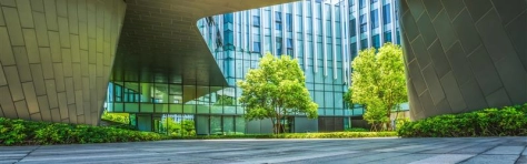 tra i palazzi uno scorcio di verde con alberi