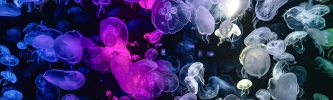 Header - Blog - Blockchain