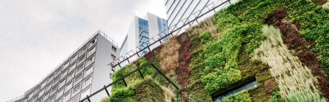 Ecologic building Architecture in São Paulo, Brazil Sustainable Resources Environmental Conservation Green Colour City Hotel Building Exterior Architecture Facade Business Ecosystem Plant Recycling São Paulo City Life Responsible Business House São Paulo State Brazil Built Structure Lush Tree Skyscraper Development Flat Modern Nature Residential Building Housing Development