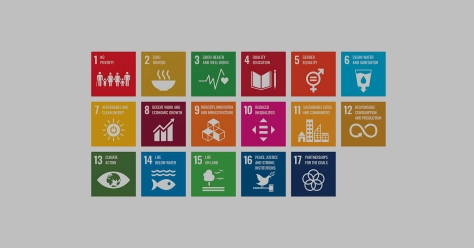 India’s progress on Sustainable Development Goals