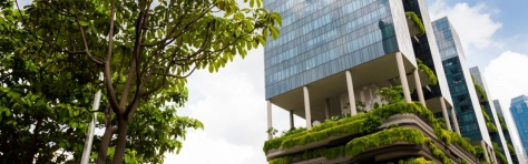 Egalité professionnelle femmes hommes