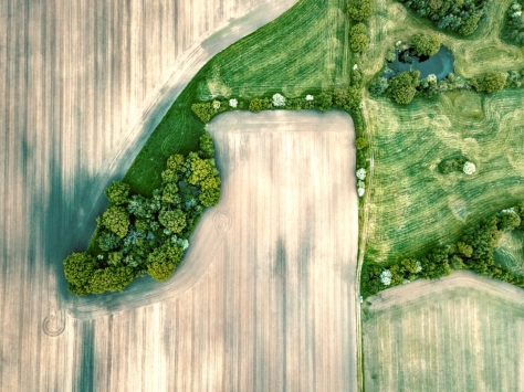 Leveraging India's Agri-Export Policy