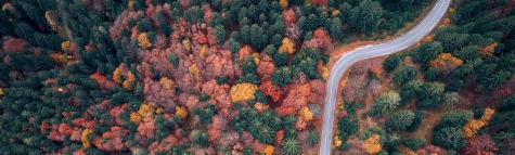 Règlement européen sur la déforestation (EUDR) : comment s’y préparer ?