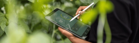 Sustainable finance services