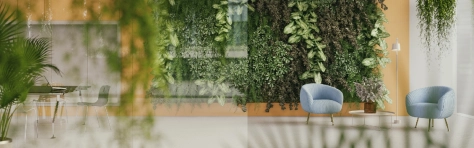 Modern office setting with nature embedded in layout. Two blue office chairs in lobby room with foliage and green plants on the wall.