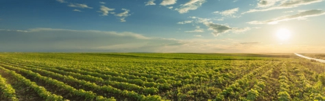 1600x500 Header Biométhane