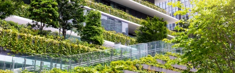 CP octobre 2021 - Mazars en France s'engage pour un numérique plus responsable