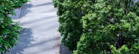 Déclaration de performances extra financières
