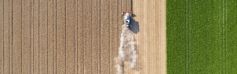 Illustration_blog-rapport-acpr-amf2