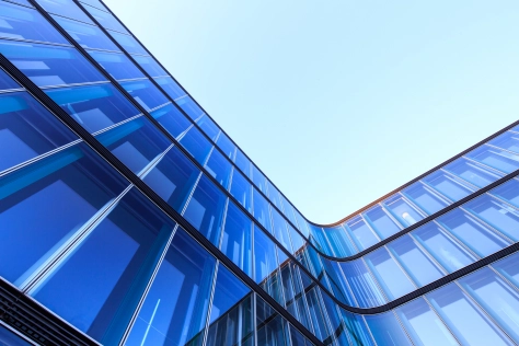 Illustration_blog-sapin2-sox