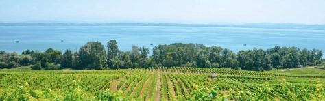 Neuchâtel 1600x500