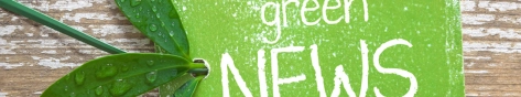  Renewable energy D 