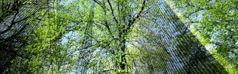 Conférence | Finance durable : risques et opportunités pour les entreprises