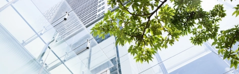 Gebäude mit grünem Ast am Bildrand