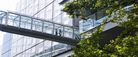 Banca d'Italia e rischi climatici: come affrontare il cambiamento climatico