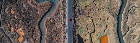 Strategie en stappenplan roadmap banner