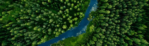 Let's talk digital transformation - Technology consulting in Oman - Forvis Mazars