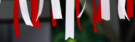 BSS in Poland 1600x500.png