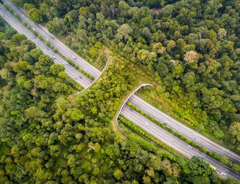 Banner APAC C-Suite Baraometr_GettyImages-1000804436.jpg