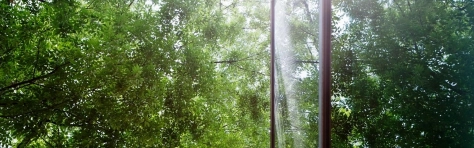 A practical guide on sustainability header